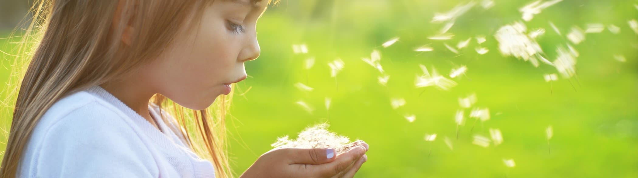 Kindertagesstätte SDM Widnau