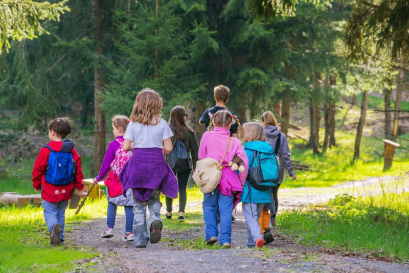 Kinderkrippe Ameisenburg