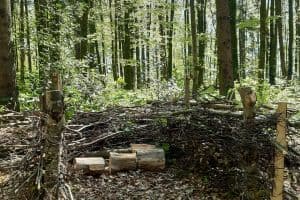 KIJUZU Zentrum Kind und Jugend