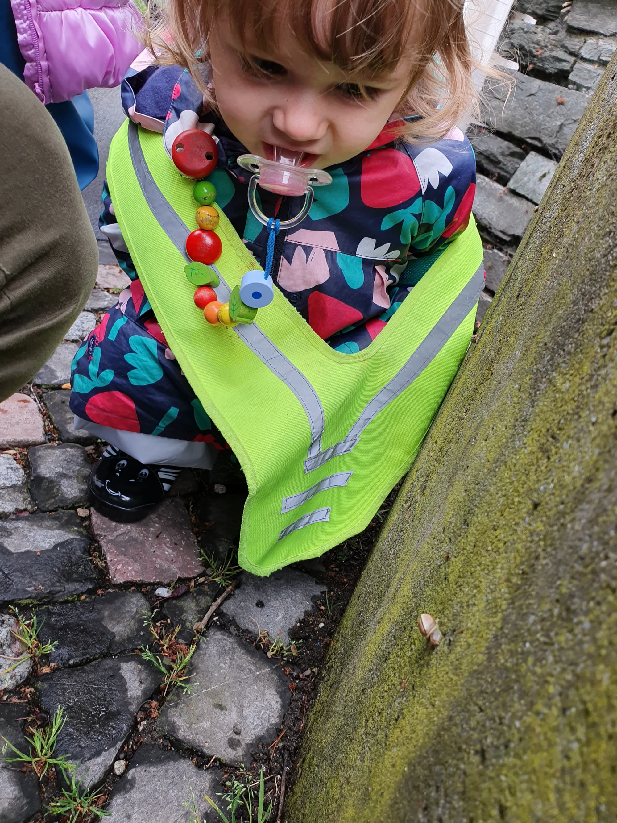 Kita Wunderkind