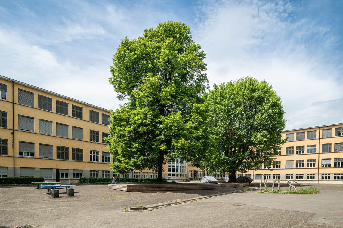 Kinderkrippe Lebensraum