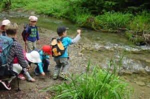 Kindertagesstätte Taubenschlag