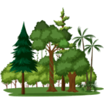 Learning Tribe Bilingual Daycare