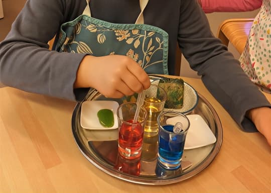 Montessori House of Kids