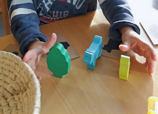 Montessori House of Kids
