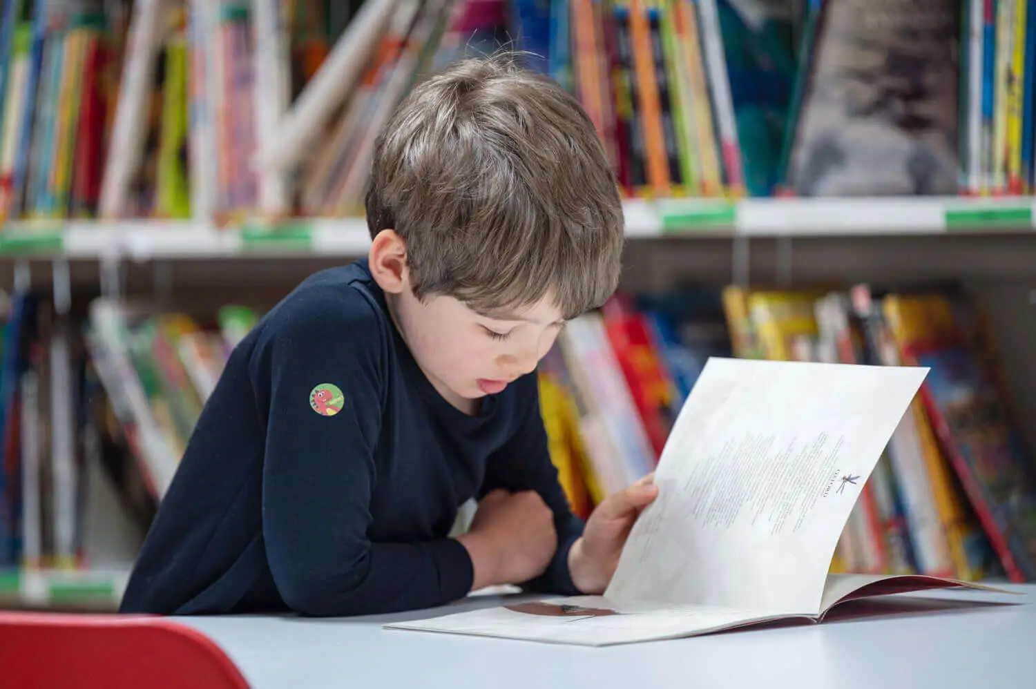 International School Zurich North