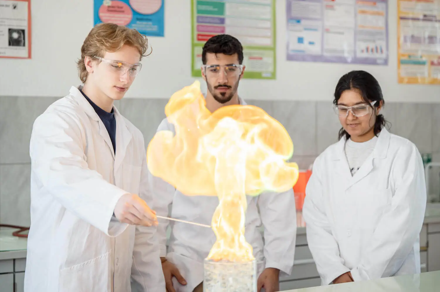 International School Zurich North
