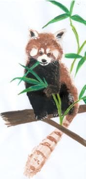 Kinder-Tagesbetreuung PANDA