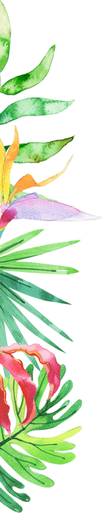 Kita Tropicana