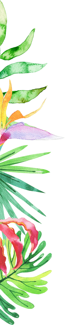 Kita Tropicana