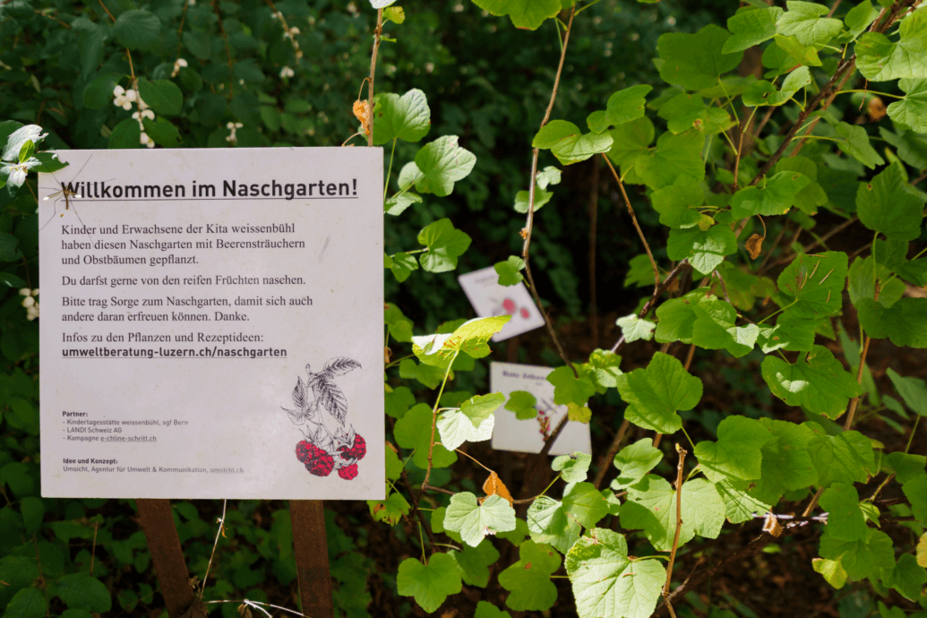 Kita weissenbühl